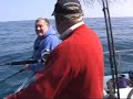 Sea angling fishing Dartmouth - Whiting, Turbot & Pollack