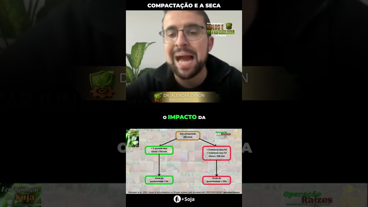 A diferença pela compactação do solo #agro #maissoja