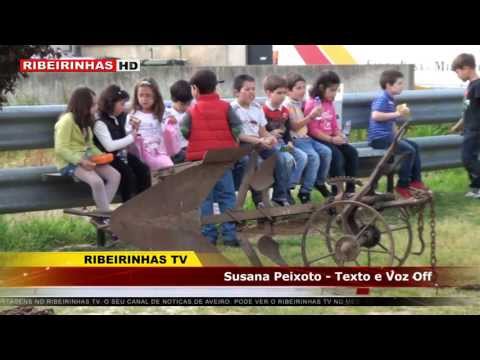milho - A ACRAP promoveu, no dia 10 de maio, mais um cultivo de uma sementeira de milho à moda antiga, convidando algumas escolas de Estarreja e Murtosa para virem a...
