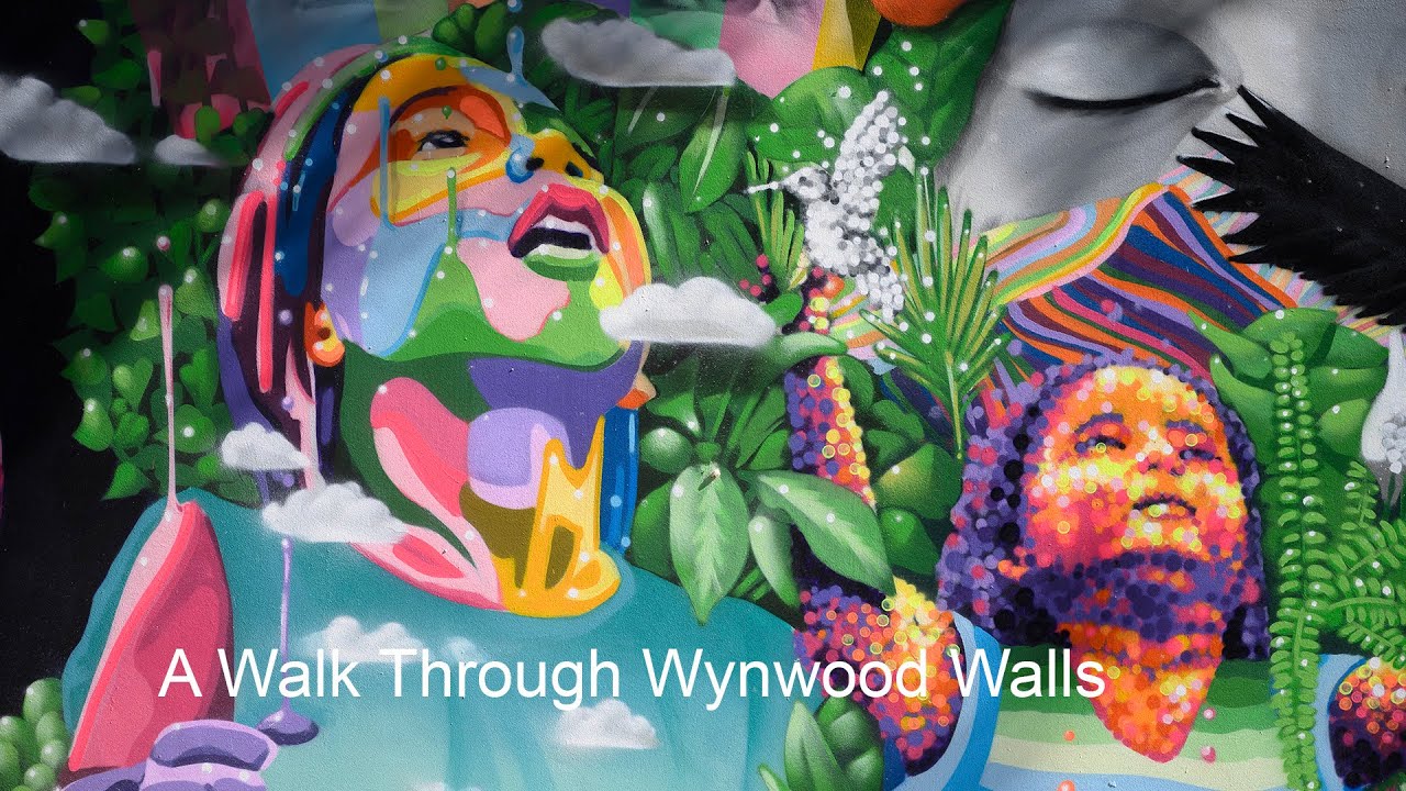 A Walk Through Wynwood Walls