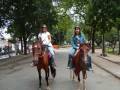 Estrelas