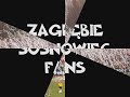 Ultras Zagłębie Sosnowiec