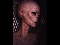 ovni ufo alien
