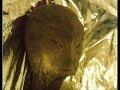 ovni-Ufo-alien