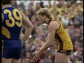 Hawthorn Highlights - 1991 Grand Final Hawthorn Highlights - 1991 Grand Final