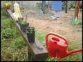 videos de La Jardinera