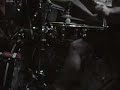 Despised Icon - the Sunset Will Never Charm Us Alexgrind