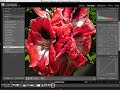 Lightroom, schiarire le ombre Lightroom, schiarire le ombre