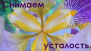 Лечебная музыка для снятия негатива, стресса, усталости, депрессии