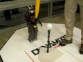 Baseball Playing Robot by the Farrels