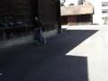 videos de Bataille d'eau mDr
