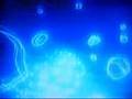 culture club - the dream electric dreams soundtrack - Electric Dreams - Flixster Video