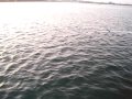 Funny Fishing Video!!