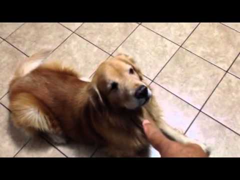 how to treat obsession