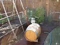 Swelling our barrel