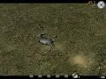 call-of-juarez-multiplayer2.html