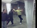rissa sotto i funghi a falchera
