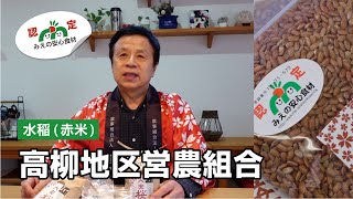【生産者紹介02】水稲（赤米）／高柳地区営農組合