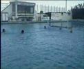 Pallanuoto Augusta SR - 1 di 5 - BY ANDREA7