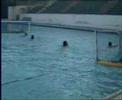 Pallanuoto Augusta SR - 1 di 5 - BY ANDREA7