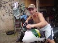 � noisss