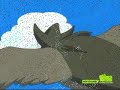 A Tribute to Bird Pokemon ~ Meant to Live
