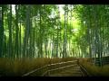 [Eng Sub/Lyrics] Mot Vong Trai Dat - Minh Hang & Tim