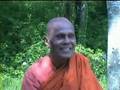 Bhante Gunaratana (19)  Differences between Western and Eastern people - Part 3 (Buddhist - Buddhism)