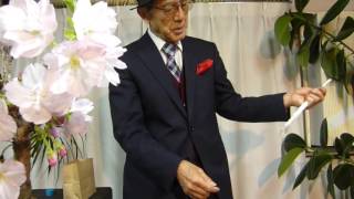 即席マジックNo.5 魔法のこな