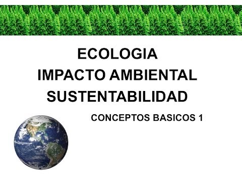 Imatge de previsualització de YouTube