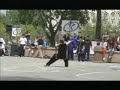 Sha De Wei - Nanquan