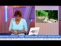 Techniek faalt bij RTL Z Techniek faalt bij RTL Z