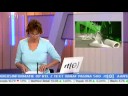 Techniek faalt bij RTL Z