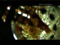 videos de SPOT WHYSKEY