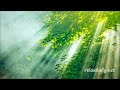 Relaxing Piano Music -- work, study, meditation -- relaxdaily N°045