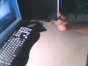 Aqua short Combo 2