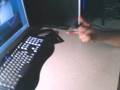 Aqua short Combo 2