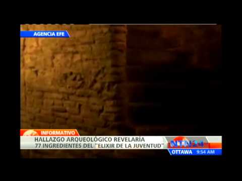 Hallazgo arqueológico en República Checa revelaría ingredientes del