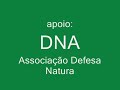 Animais Abandonados