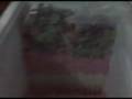 videos de la fabrica de plastico