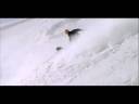 videos de The Fine Line - Nature (clip teaser)