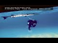 A WAG's Tale Total Wipeout BBC Oneb.mov