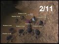 FFXI - Uesugi Vs many Crabs