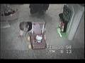 videos de 94 Mel Mike Mich at home