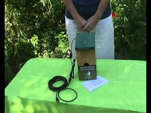 how to set up web camera