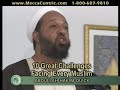 habib-qaderi-lab-joybarr.html