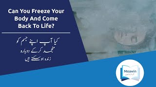 Can You Freeze Your Body & Come Back To Life