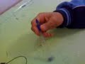pavlodar ktl vypusk 2007