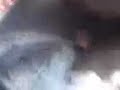 tophe video sa jeep..