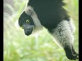 木柵動物園